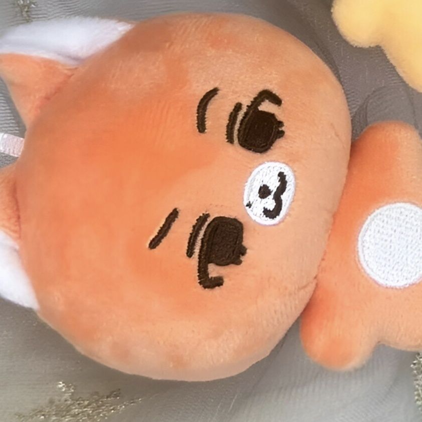 CORTIS MINI PLUSH