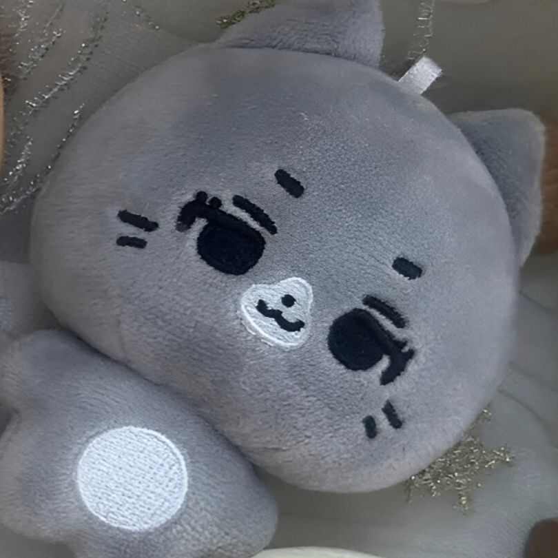 CORTIS MINI PLUSH