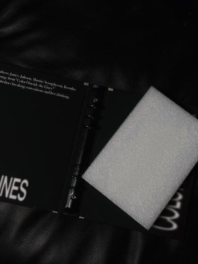 CORTIS BINDER + 20 PLASTIC SHEETS